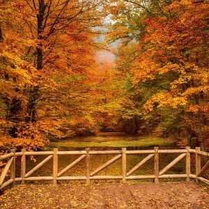 Meet your Posher, Manuel